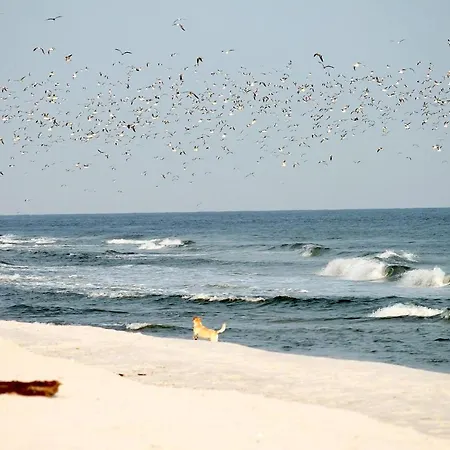 アパート White Pearl 3.04