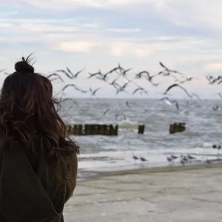 アパート White Pearl 3.04 *