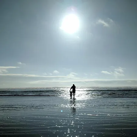 Apartment White Pearl 3.04