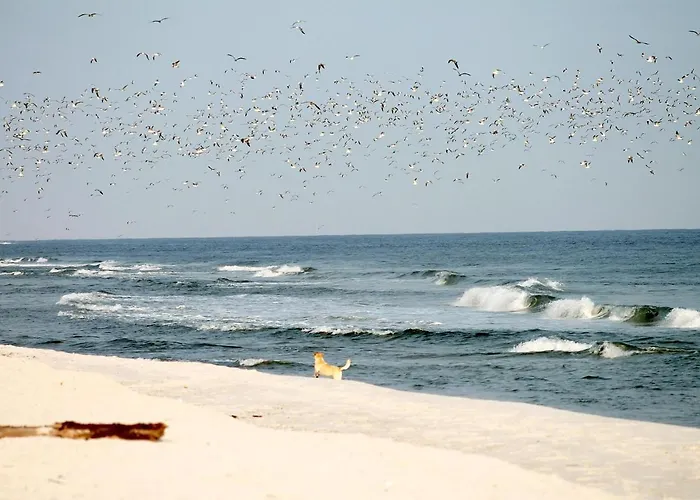 Apartman White Pearl 3.04