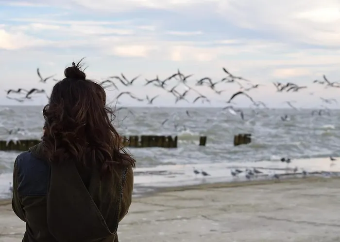 Apartment White Pearl 3.04 *