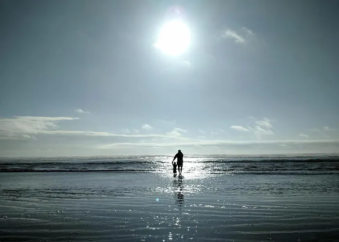 Apartment White Pearl 3.04